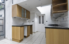 Gants Hill kitchen extension leads